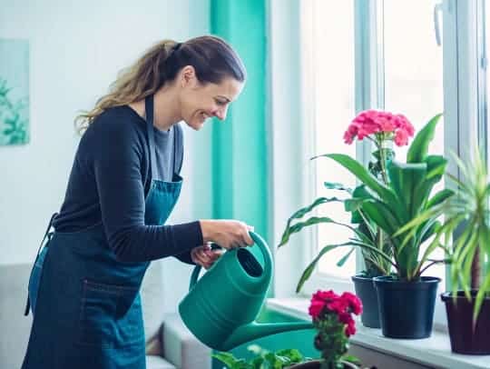 Eine Alltagsfee gießt Blumen für eine Person in Wesel.